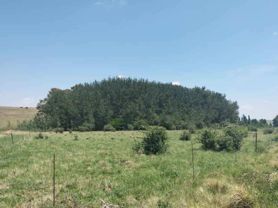 0 Bedroom Property for Sale in Bethlehem Rural Free State